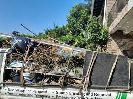 Best Scrap Metal Removal  in Waimea, HI